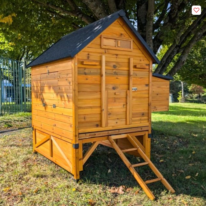 Poulailler Landais 6 à 10 poules toit shingle noir avec rehausse
